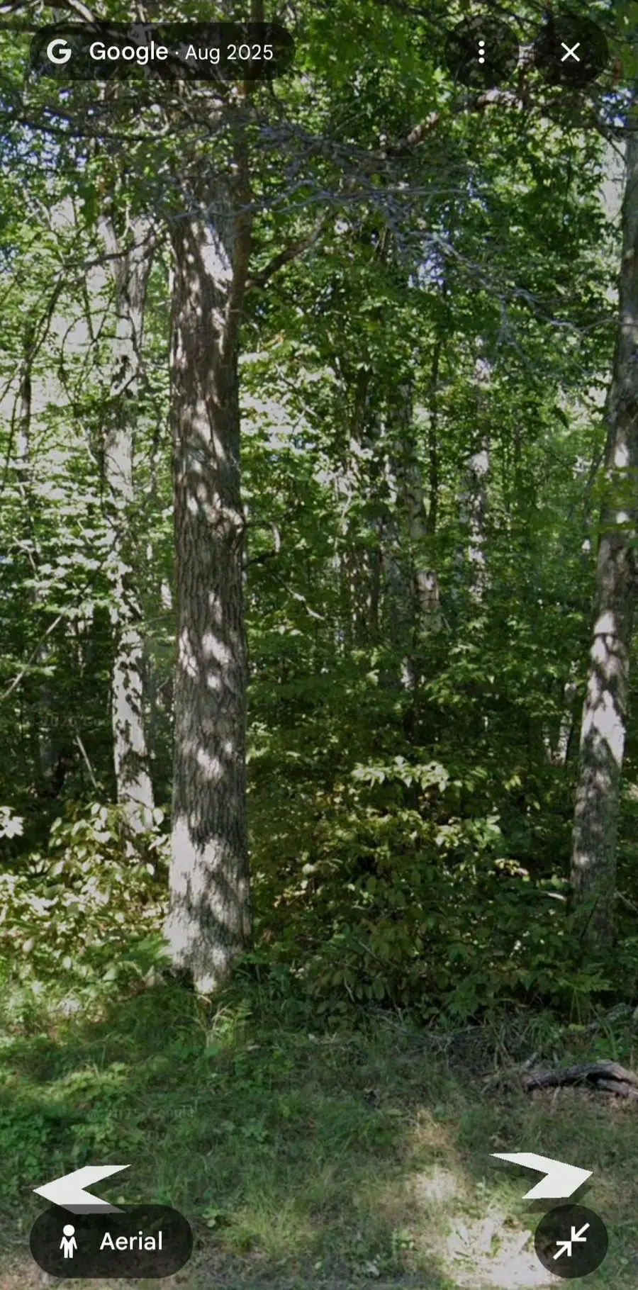 78XX White Overlook Drive, Breezy Point, MN 56472 - #3