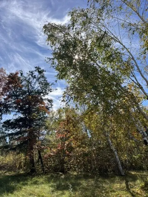 307 Popple Drive Se, Bemidji, MN 56601