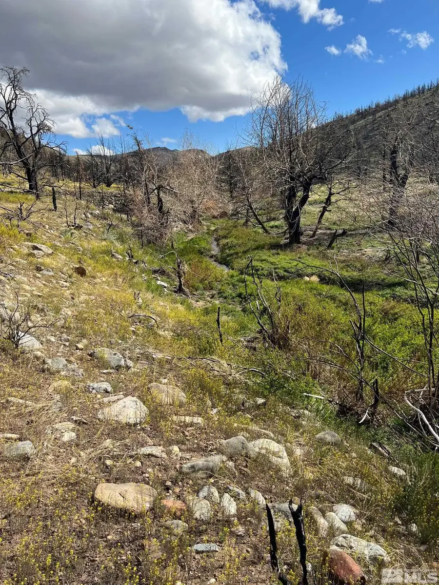TBD Parcels At Pine Nut Creek Area, Gardnerville, NV 89410 - Image #3