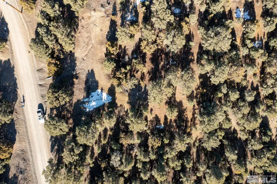 1791 Harte Road, Reno, NV 89521 - Image #3