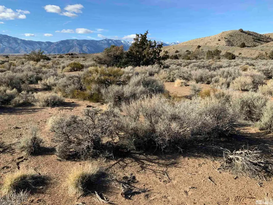 1290 Jo Lane, Gardnerville, NV 89410 - Image #2