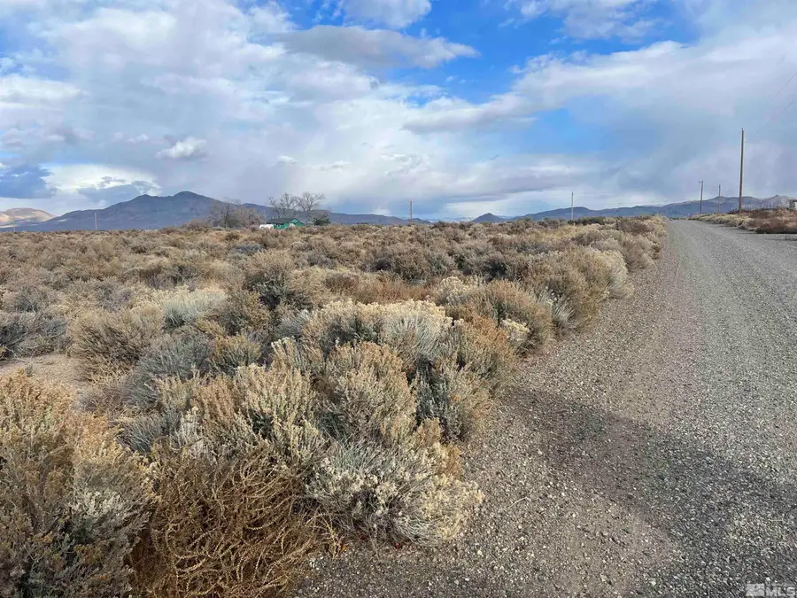 62 Acciari Road, Smith, NV 89430 - Image #3