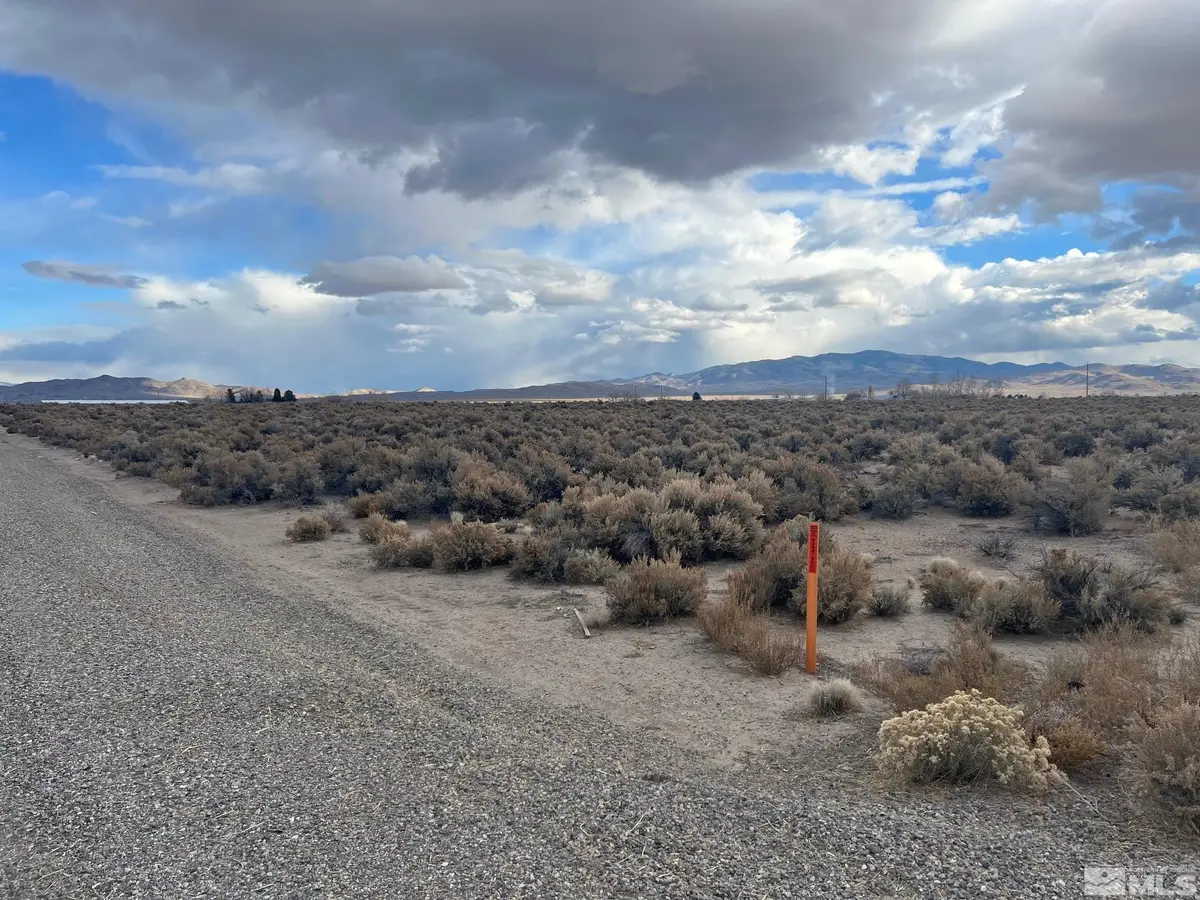 6 Acciari Road, Smith, NV 89430 - Image #1
