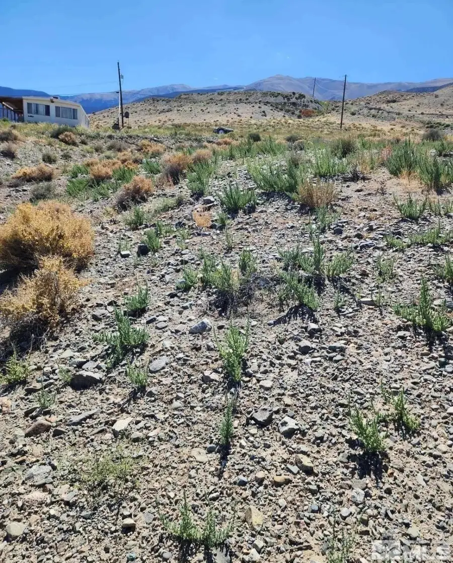 163 Boyd Drive, Walker Lake, NV 89415 - Image #2