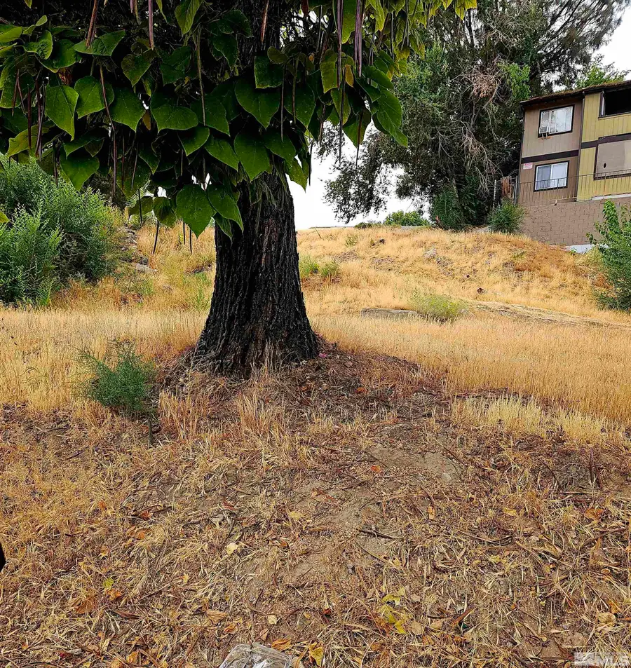 2065 Wedekind Road, Reno, NV 89512 - Image #3