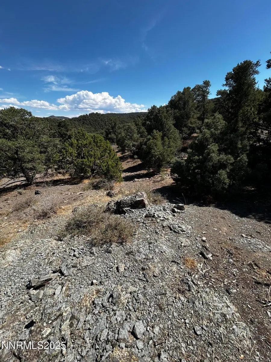 2035 Silverado Road, Reno, NV 89521 - Image #3