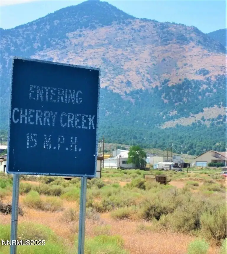 00503704 Cherry Creek Road, Cherry Creek, NV 89301 - Image #3
