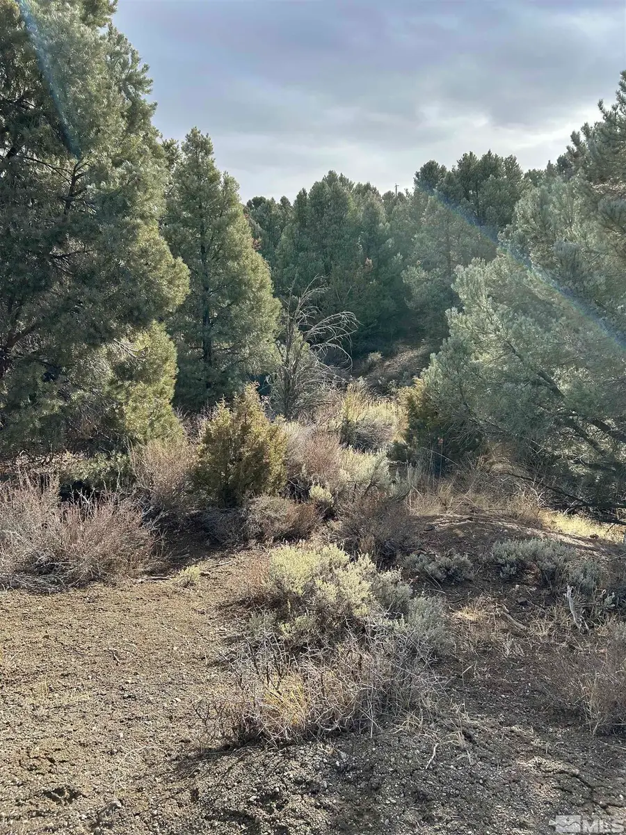 1825 Empire Road, Virginia City, NV 89521 - Image #2