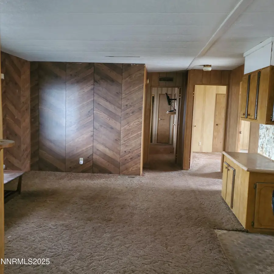 414 Cottonwood Drive, Walker Lake, NV 89415 - Image #3