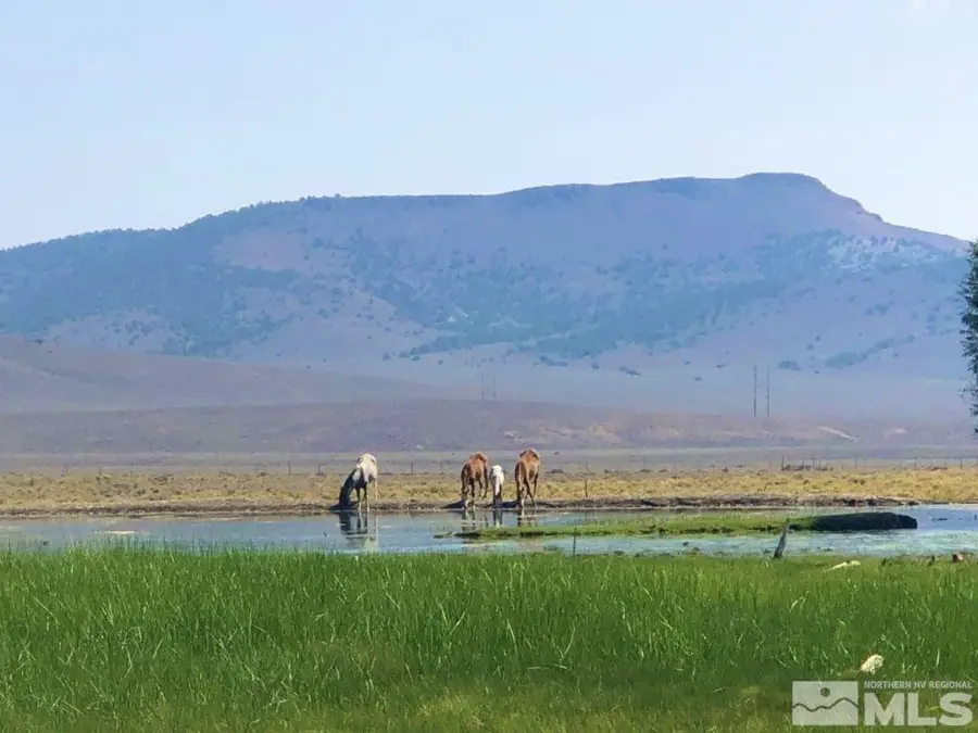 0 Superior Millsite Mine, Austin, NV 89820 - Image #2