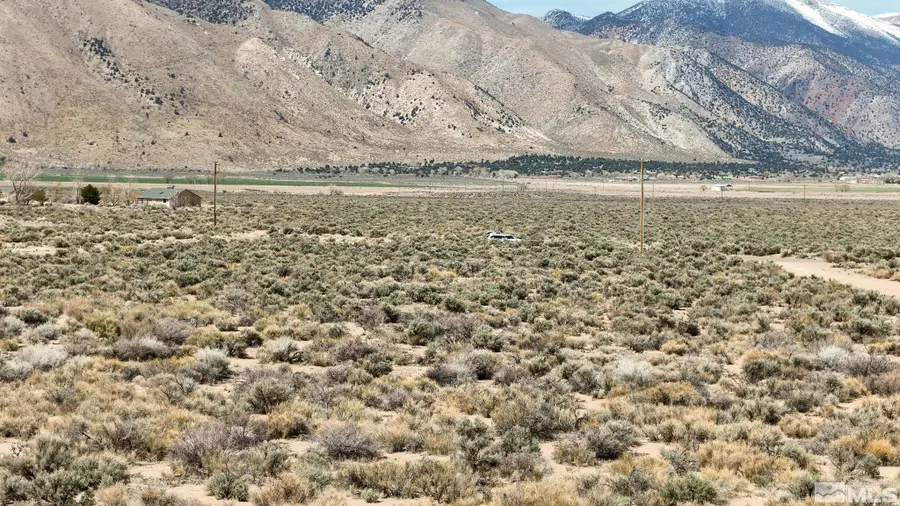 247 Artist View Road, Wellington, NV 89444 - Image #3