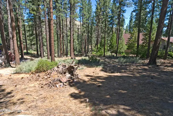 50 Pinon Road, Markleeville, CA 96120