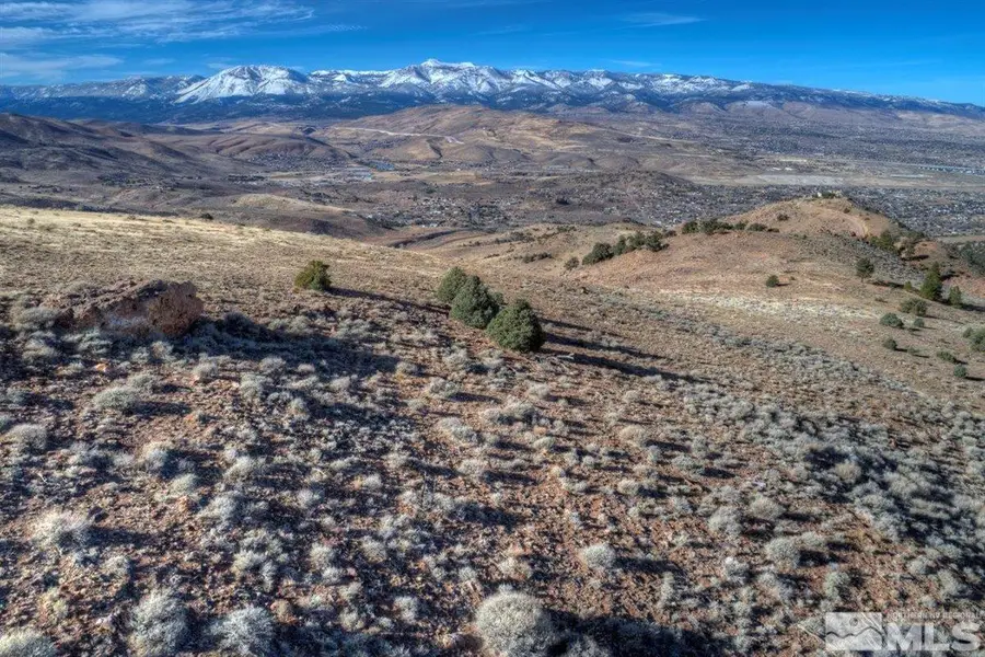 APN 01676229 Geiger Grade Road, Reno, NV 89521 - Image #3