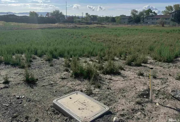 480 Camellia Way, Lovelock, NV 89419