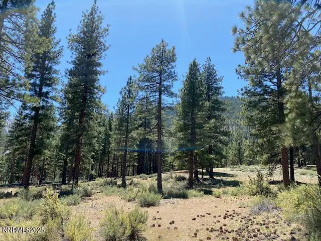 3355 Golf Club Drive #97, Genoa Jacks Valley, NV 89705 - Image #3