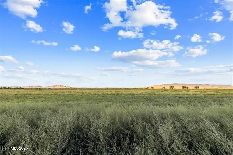 2673 Nv-208 Highway, Smith, NV 89444 - Image #3