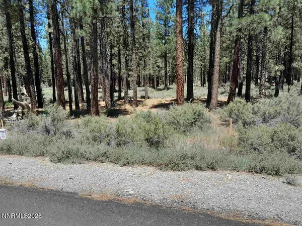 202 Village Trail #36, Portola, CA 96122