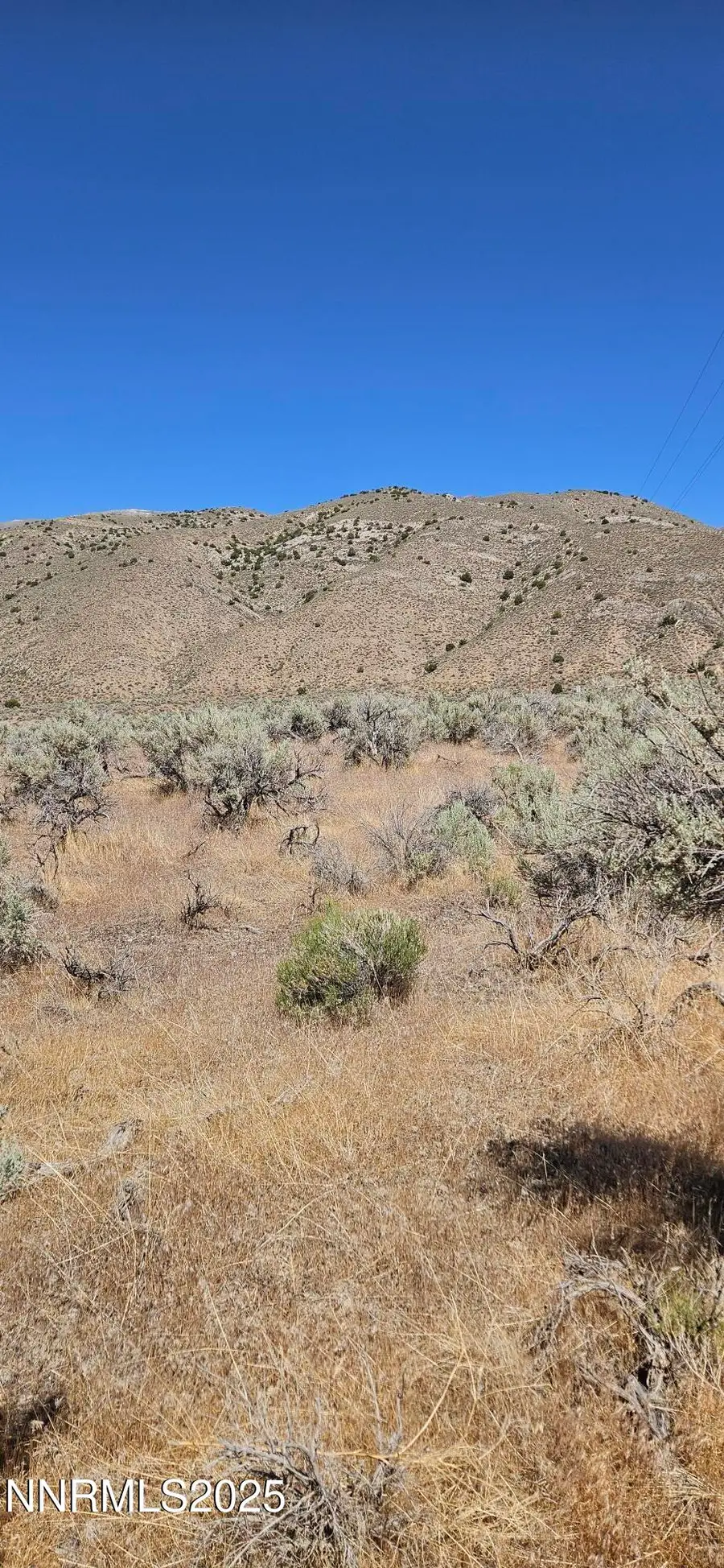 12170 Rye Patch Reservoir Road, Lovelock, NV 89419 - Image #3