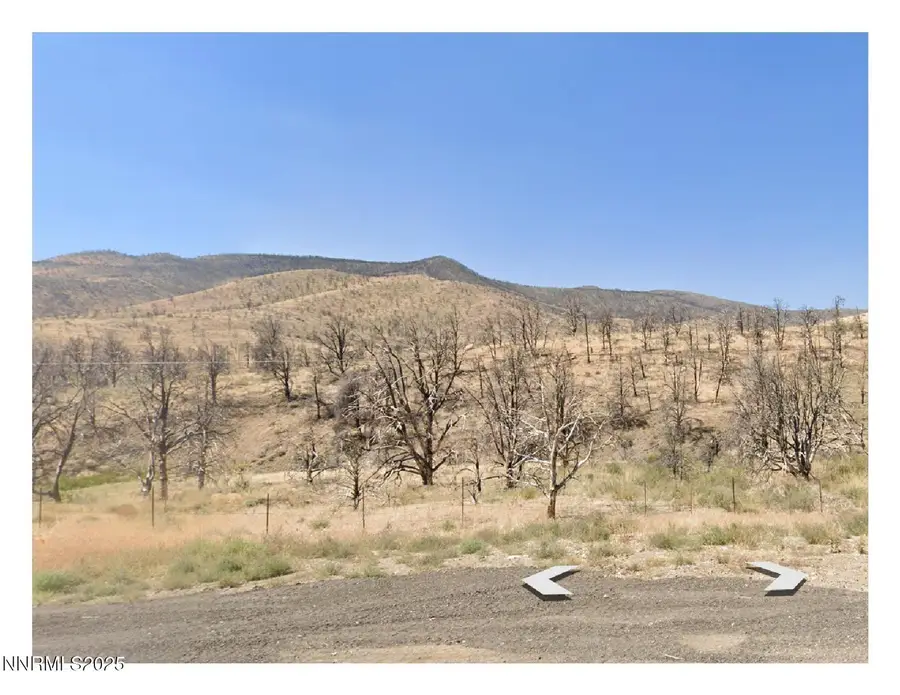 TBD Devenpeck Drive #1.2.3, Double Spring, NV 89410 - #3