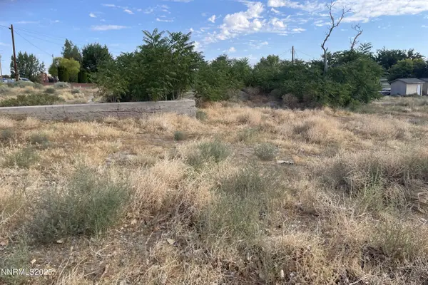 3 & 7 Bridge Street, Yerington, NV 89447