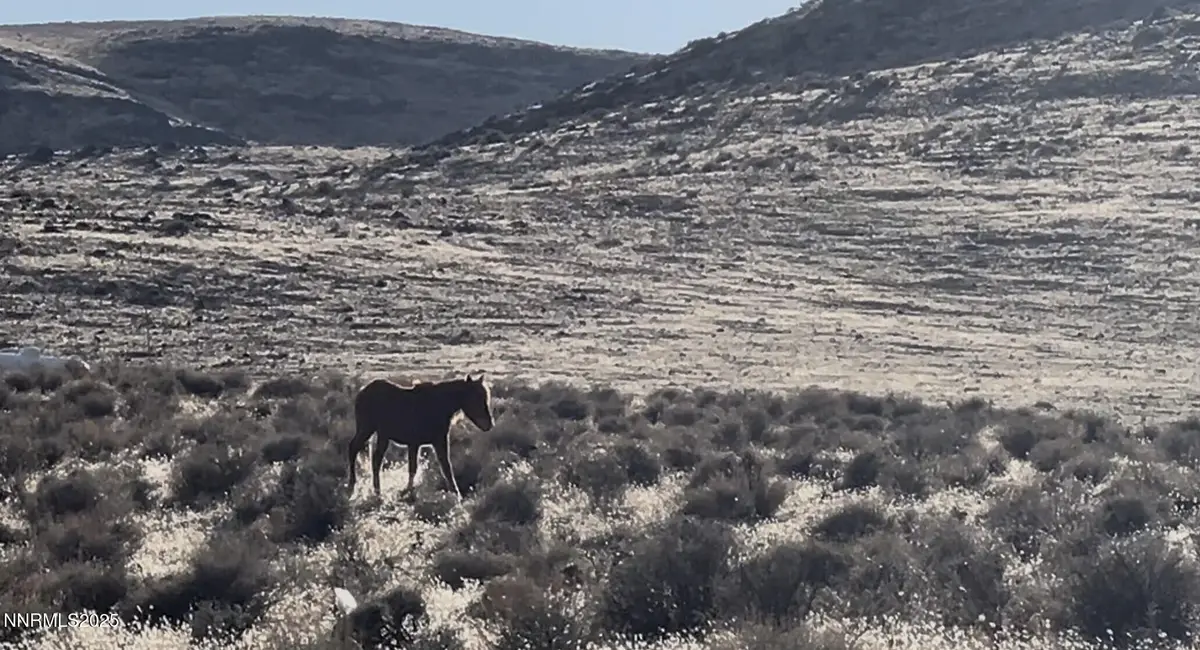 9325 Western Way, Stagecoach, NV 89429 - Image #1