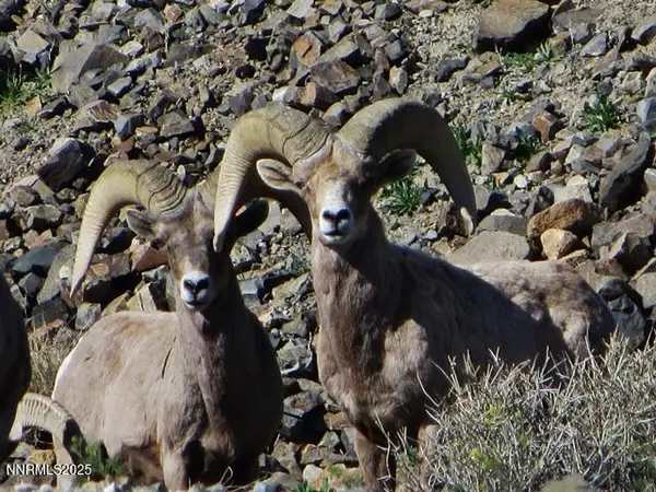 00 Lakeshore Drive, Walker Lake, NV 89415