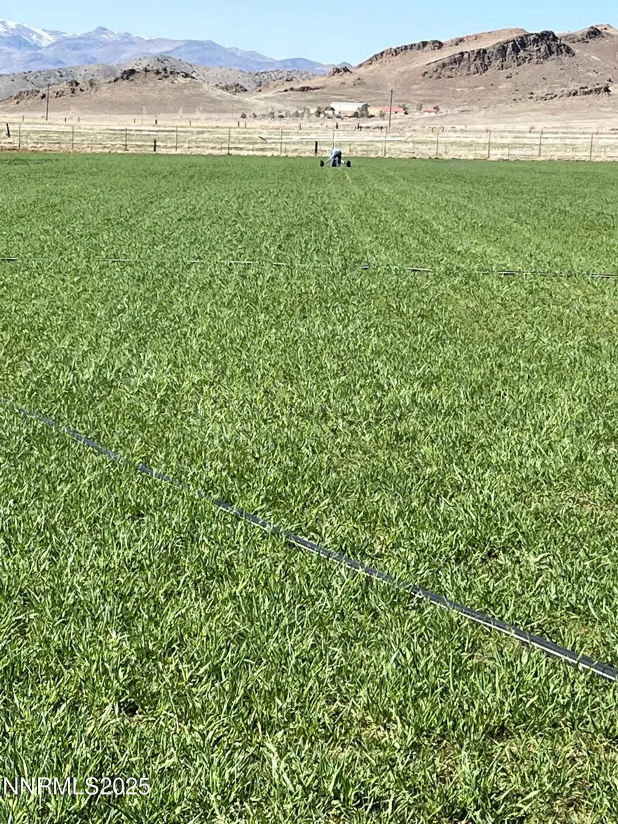 3995 Bacon Rind Road, Reno, NV 89510 - Image #2