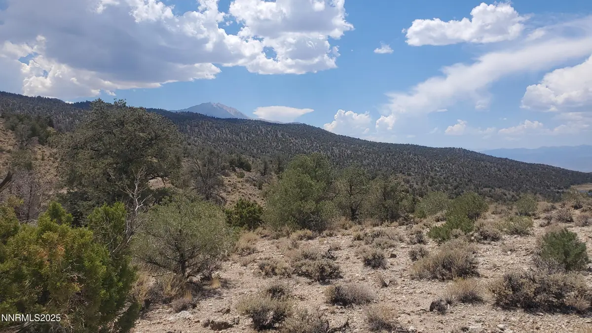 T5N R28E S5 Lucky Boy Pass Road, Hawthorne, NV 89415 - Image #1