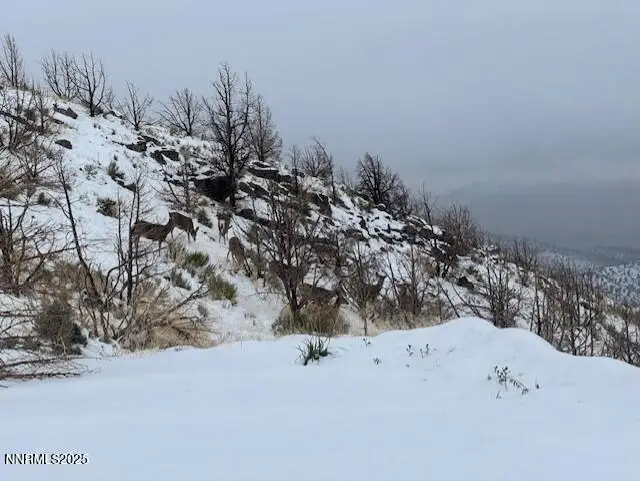 0 Wrangler Road, Reno, NV 89510 - Image #2