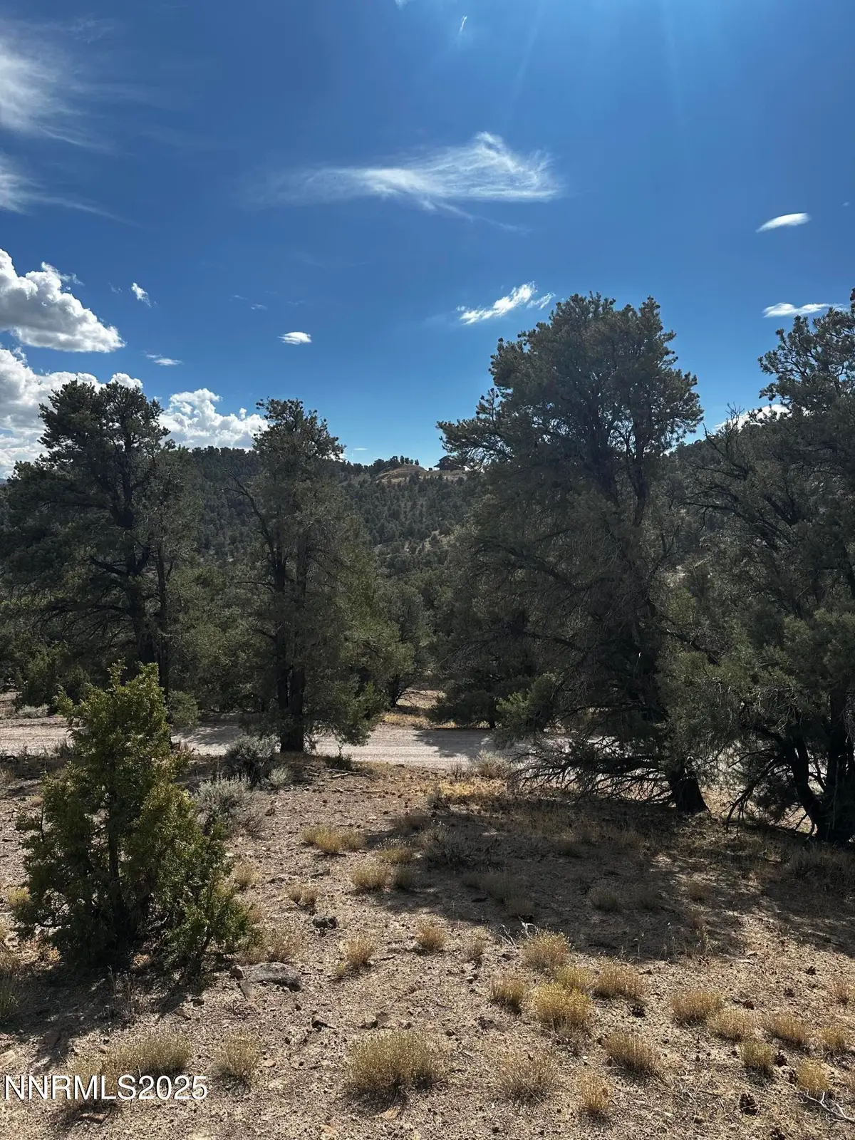 2000 Scorpion Road, Reno, NV 89521 - #1