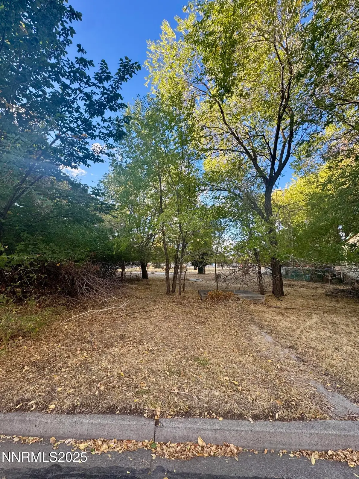 611 E Proctor Street, Carson City, NV 89701 - Image #1