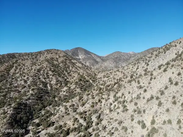 tbd Alum Creek Road, Hawthorne, NV 89415