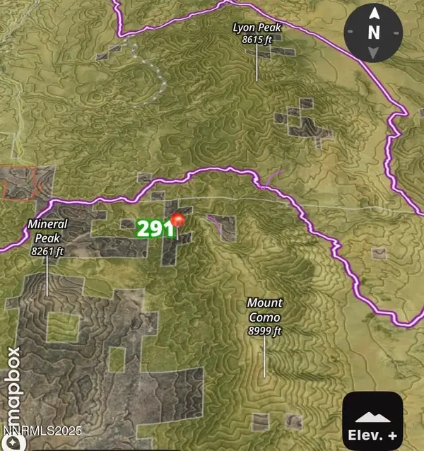 0 Pine Nut Mtn Range Lot #7, Minden, NV 89423