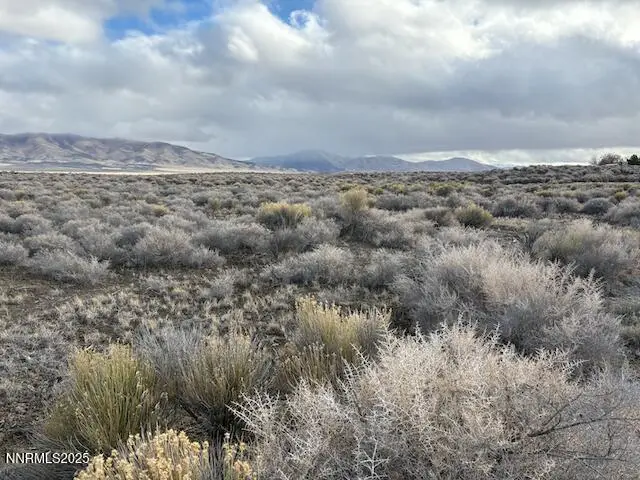 T33 R37 Sec 1 Van Diest Rd., Winnemucca, NV 89445 - Image #1