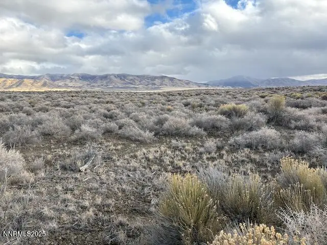 T33 R37 Sec 1 Van Diest Rd., Winnemucca, NV 89445 - Image #2