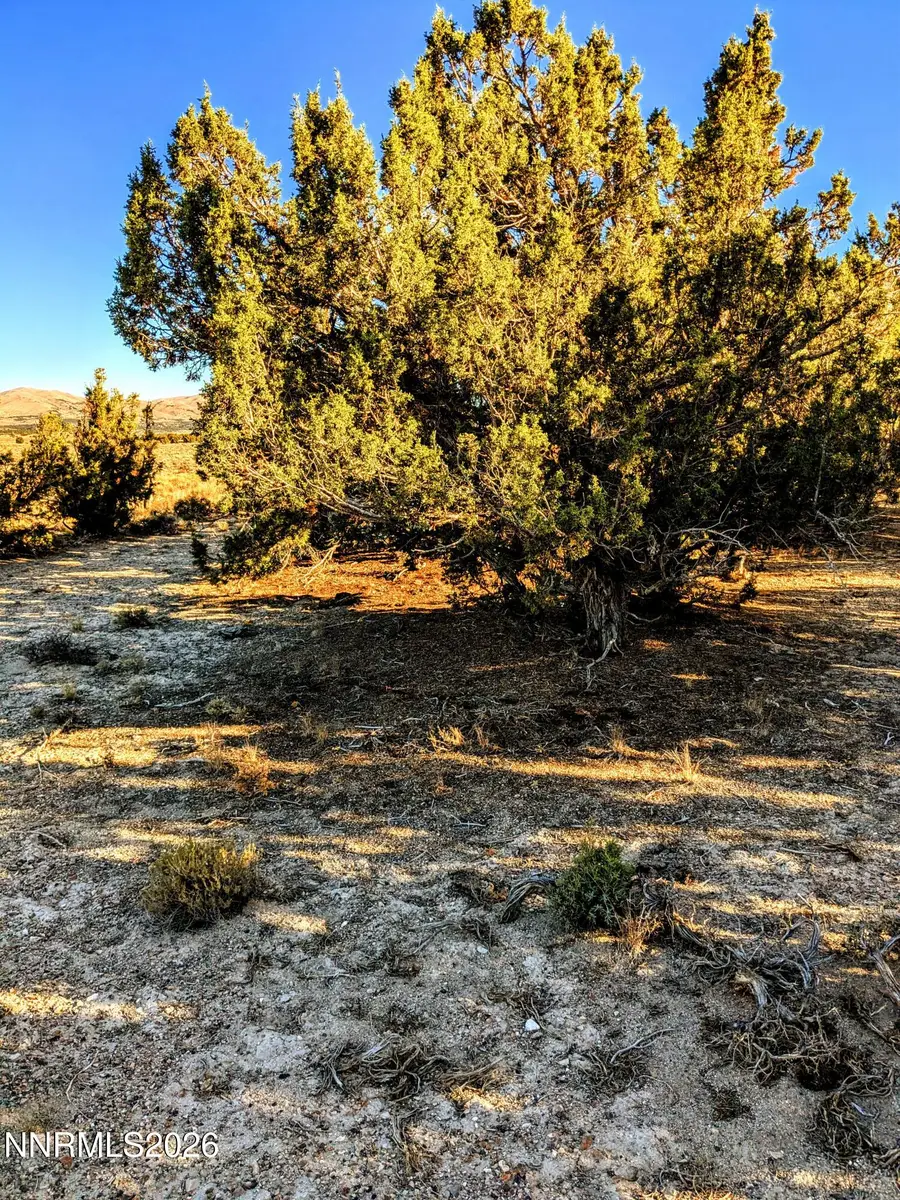 0 Twelvemile Cyn Road, Montello, NV 89830 - Image #2