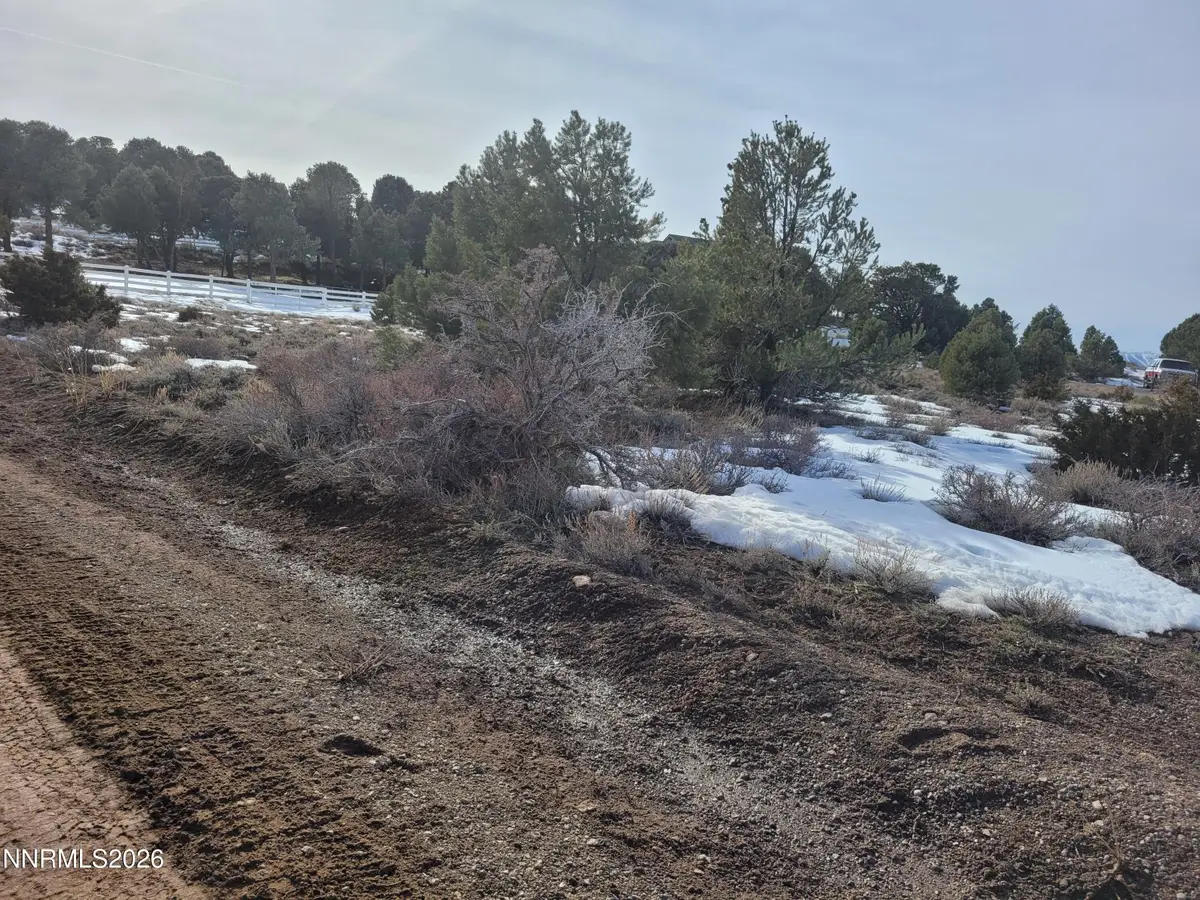 21310 Fey Road, Reno, NV 89521 - #1