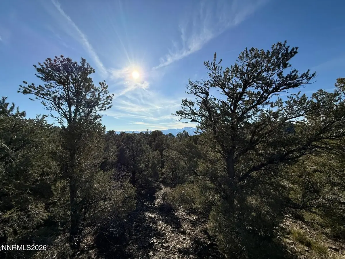 2000 Flint Road, Reno, NV 89521 - #1