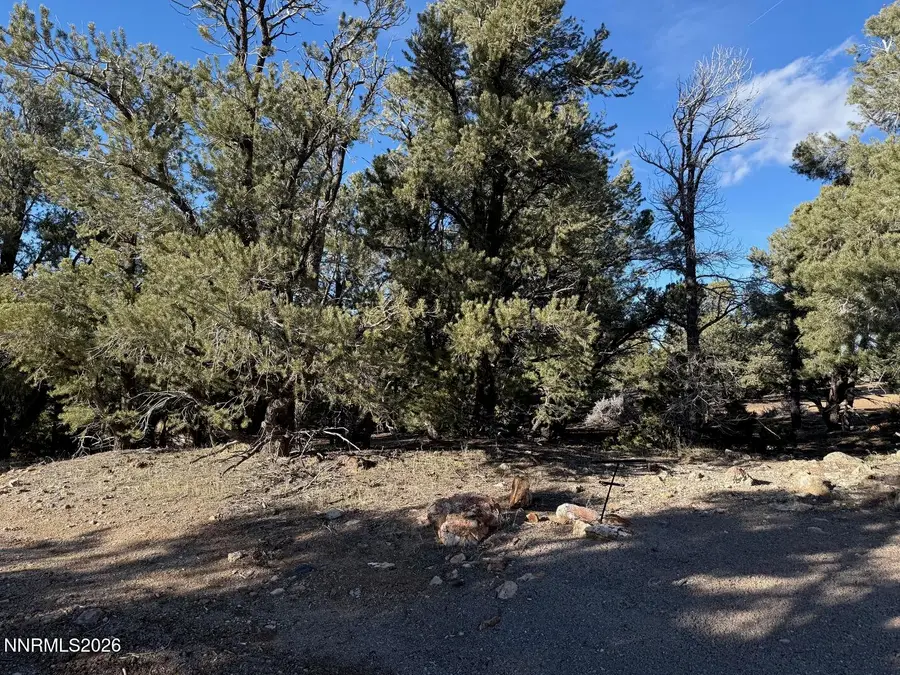 2000 Flint Road, Reno, NV 89521 - #2