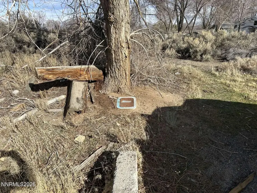 2387 Sneddon Way, Carson City, NV 89706 - #3