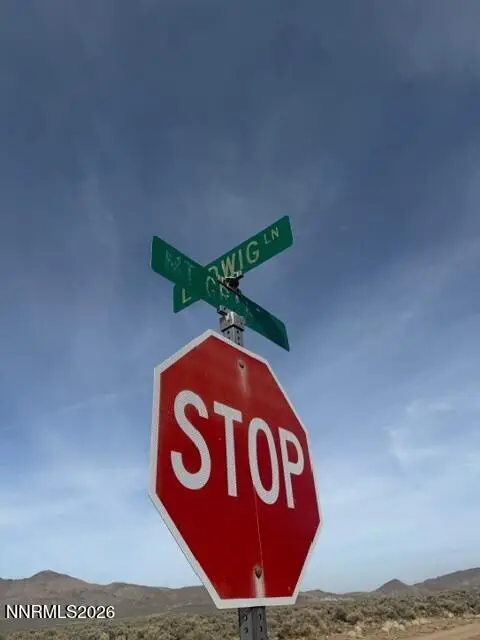 370 Ludwig Lane, Smith, NV 89430 - #1