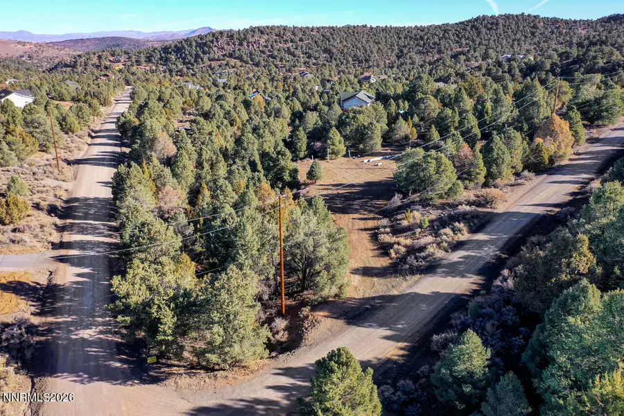 21840 Bowie Road, Reno, NV 89521 - #2