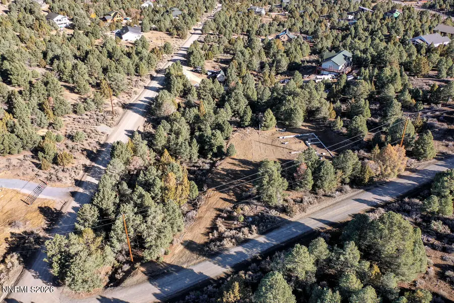 21840 Bowie Road, Reno, NV 89521 - #3