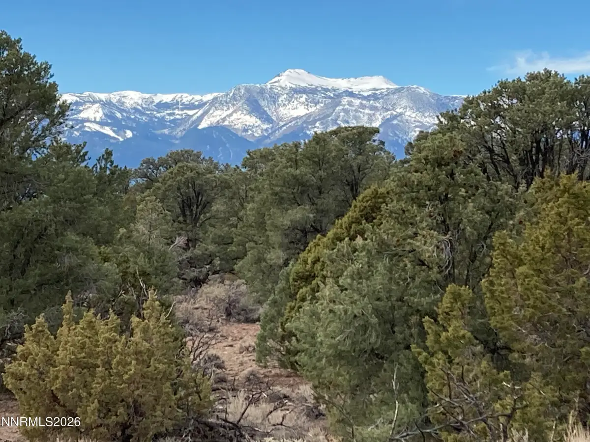 1330 Yellow Jacket Road, Reno, NV 89521 - #1