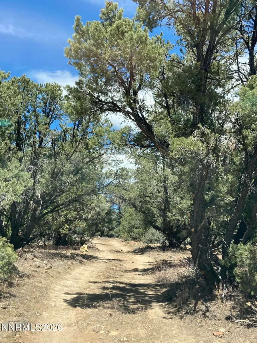 1330 Yellow Jacket Road, Reno, NV 89521 - #2