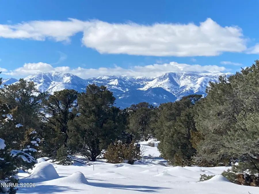 1330 Yellow Jacket Road, Reno, NV 89521 - #3