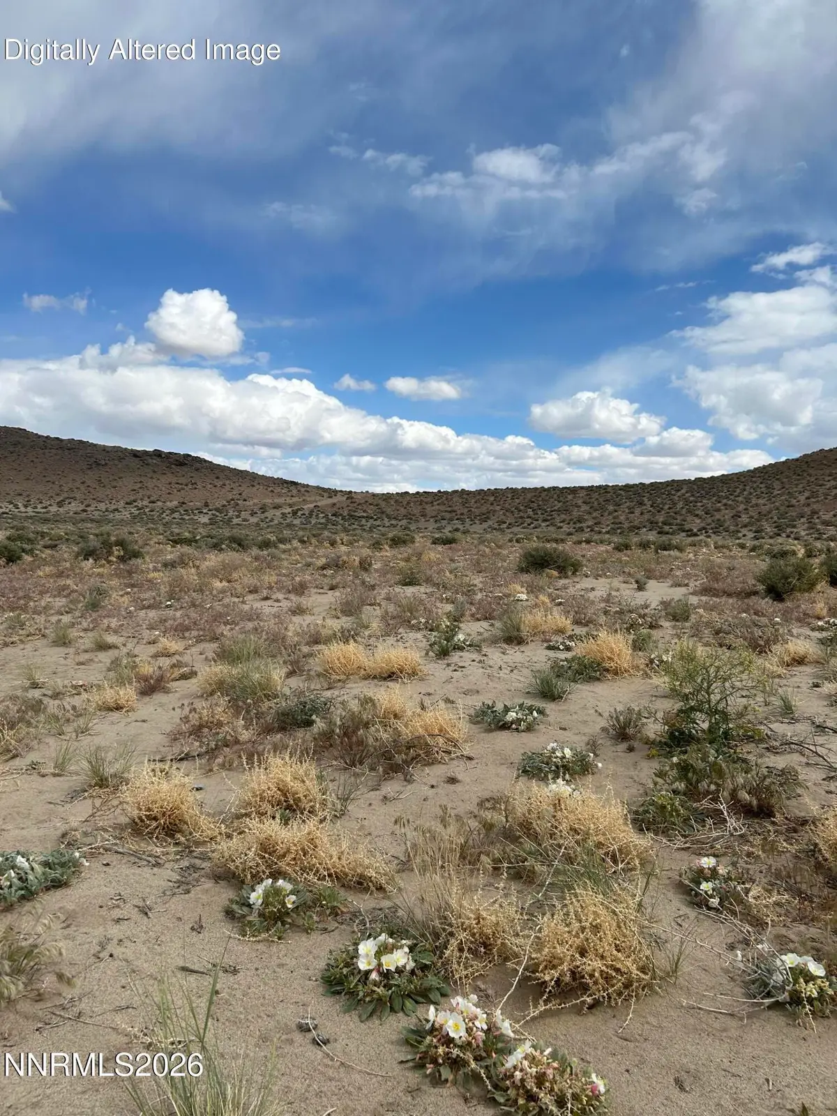 015-591-08 Holly Avenue #015-591-08, Silver Springs, NV 89429 - #1
