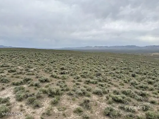 6.6 Pine Street, Elko, NV 89801 - #1