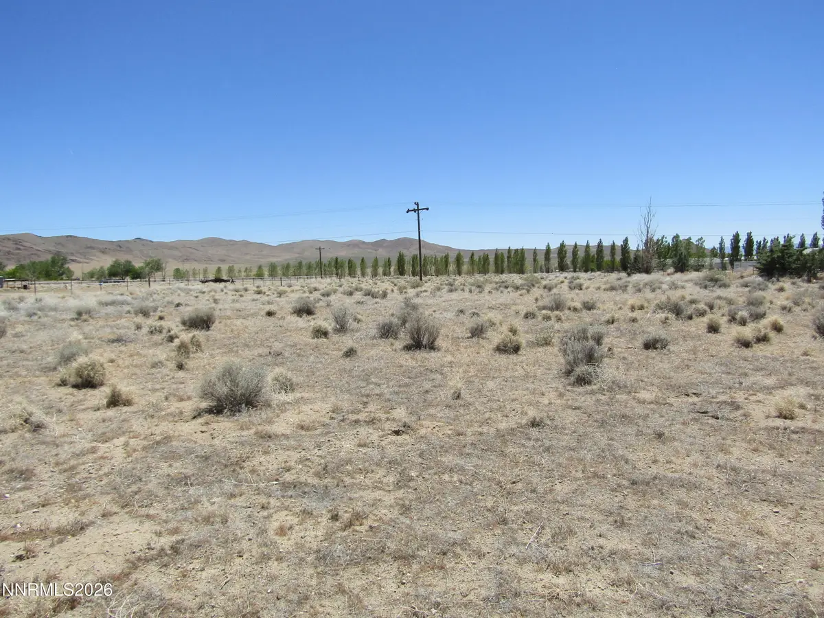 603 Pete Hendrichs Road, Yerington, NV 89447 - #1