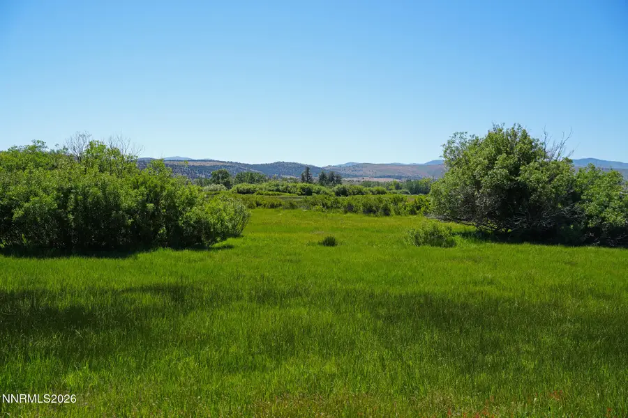060 Chambers Lane, Markleeville, CA 96120 - #3